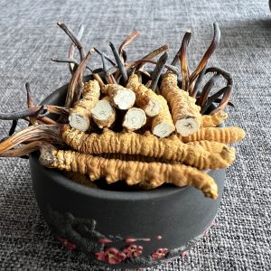 Cordyceps-10g(4 pieces per gram)